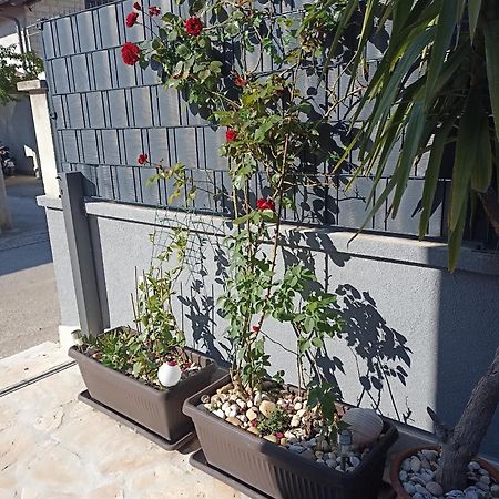 Apartman Lara Zadar Apartment Ngoại thất bức ảnh